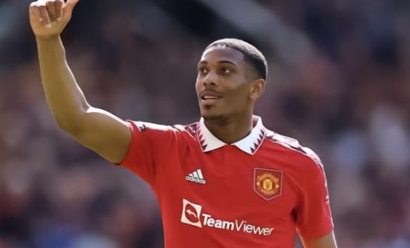 内尔松在一 内尔松在一